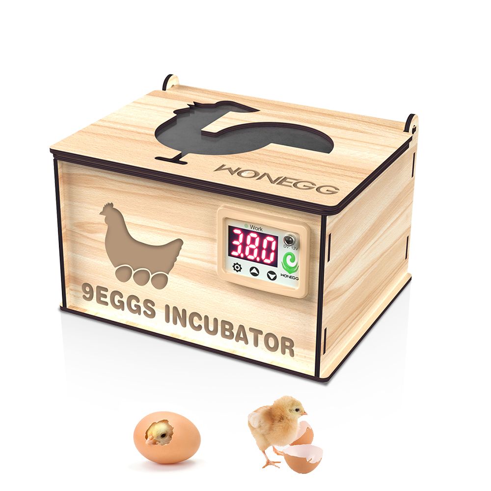 9 Egg Wooden Incubator with Temperature Control