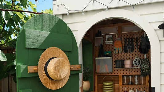 Open garden shed with tools and pots neatly organised on a pegboard wall