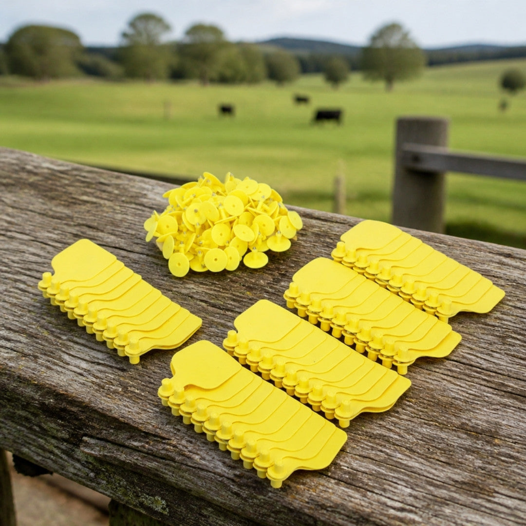 100 pack yellow cattle ear tags on a farm fence