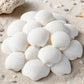 30 pack white scallop seashells