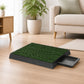 Pet potty tray with mats