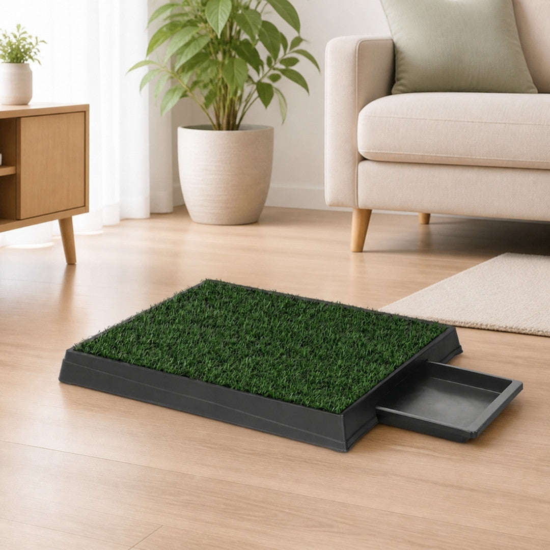 Pet potty tray with mats