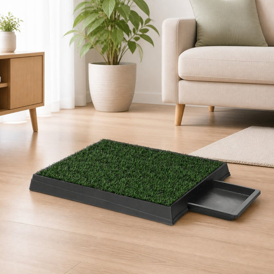 Pet potty tray with mats
