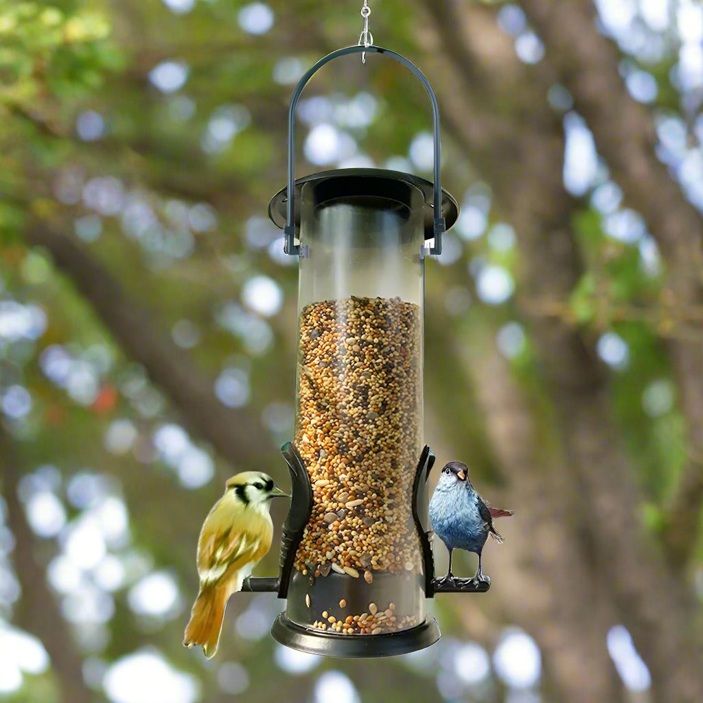 Bird Feeder