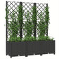 Vertical Garden Planter with Trellis Black 120x436 cm Outdoor Plant Holder and Climbing Support for Flowers and Vines