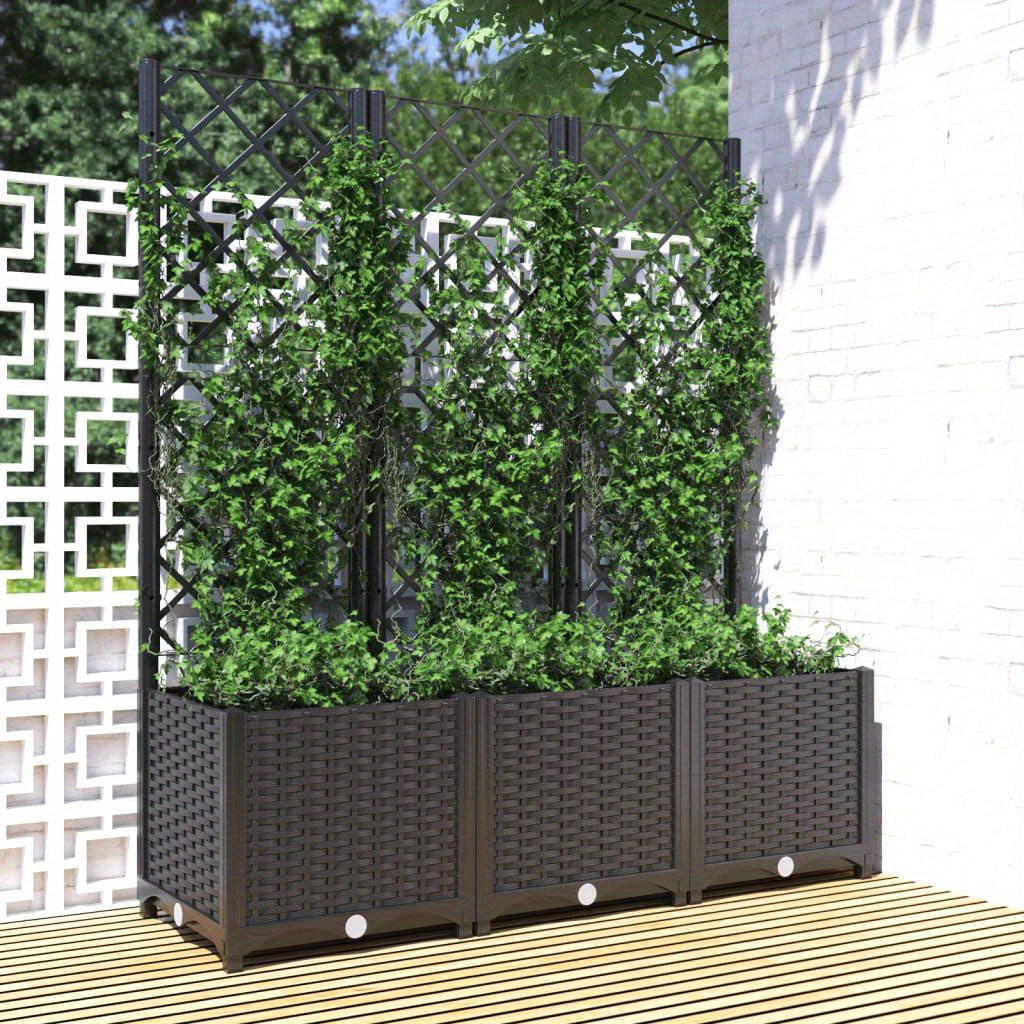 Raised Planter