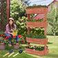 4 Tiers Vertical Raised Garden Bed Outdoor Garden Stand Planter Bed with 4 Container Boxes for Patio Balcony Herbs and Veges