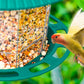 Outdoor Garden Hanging Transparent Bird Feeder