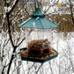 Waterproof hanging bird food box