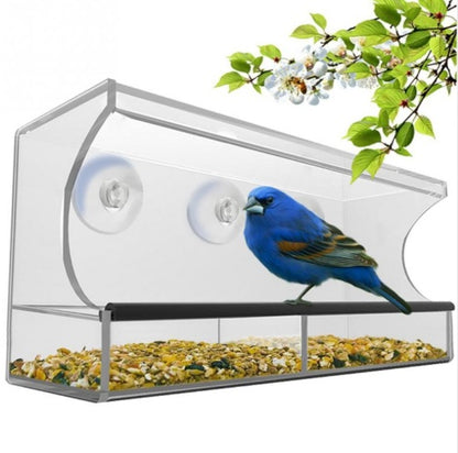 Acrylic Bird Feeder