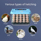 Incubator Bionic Water Bed Incubator Rutin Chicken Household Incubator