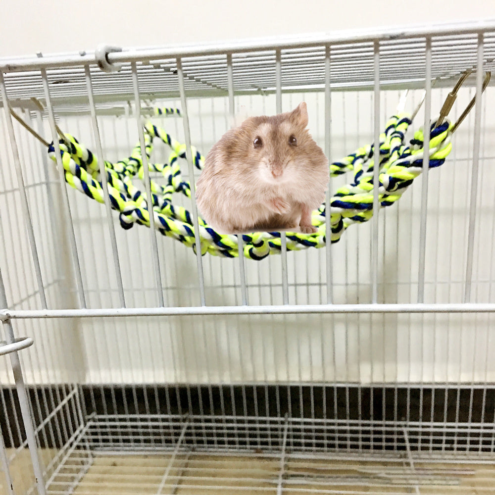 Parrot climbing net