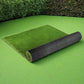 Artificial Grass