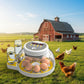 Automatic 8 / 18 Egg Incubator - Electrical Turning Chicken Quail Duck Hatching