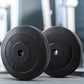 60kg Barbell Weight Plates Standard Home Gym Press Fitness Exercise