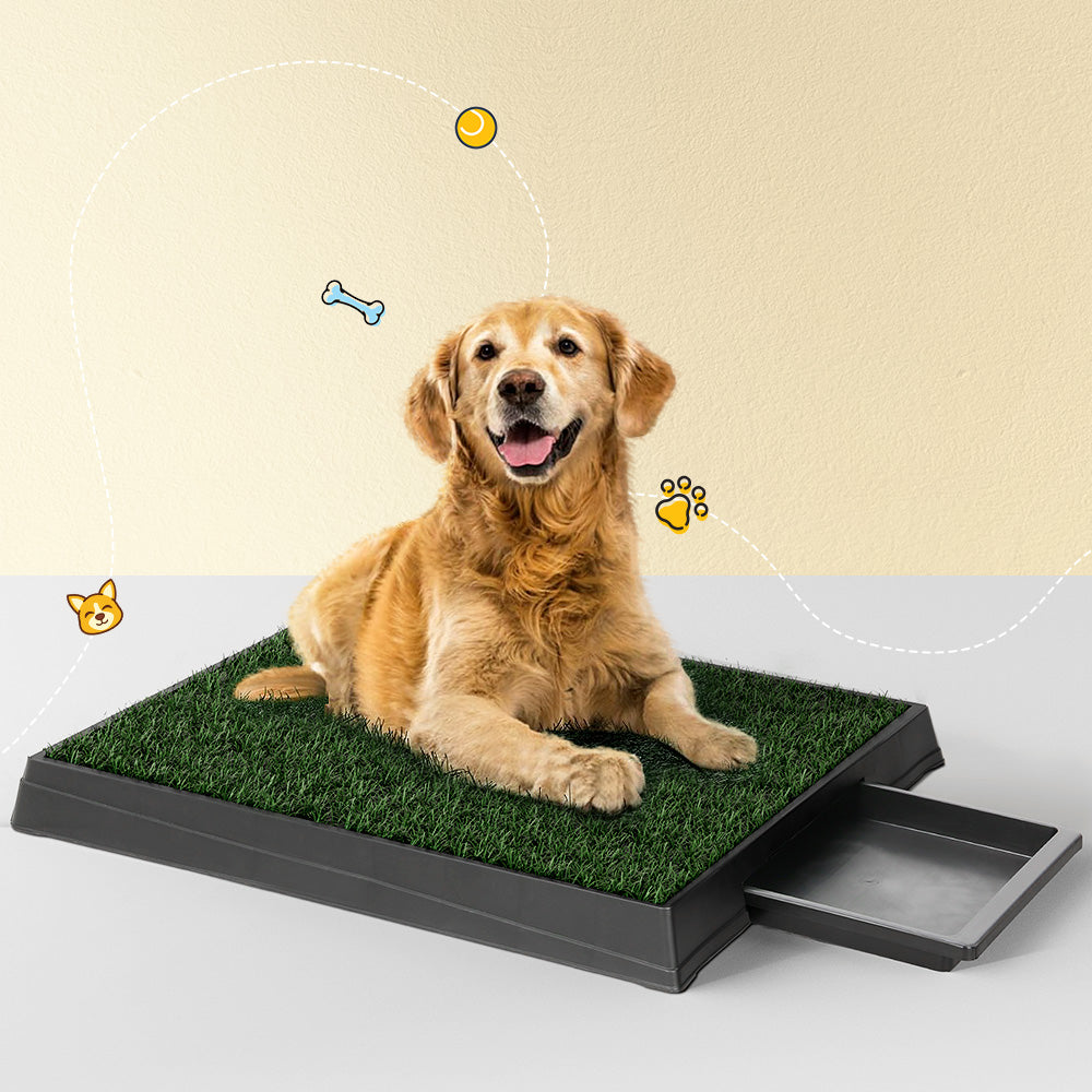 Large Dog Potty Training Tray with 2 Grass Mats – Portable