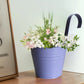 6/10Pcs Hanging Flower Pots Metal Hanging Planters Detachable Hook Iron Flower Bucket with Drainage Hole for Home Garden Decor