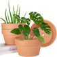 4pcs, Terracotta Flower Pots 4.5""x2.3"" - Clay Planter with Drainage Hole for Cactus and Succulents - Ideal for Plants