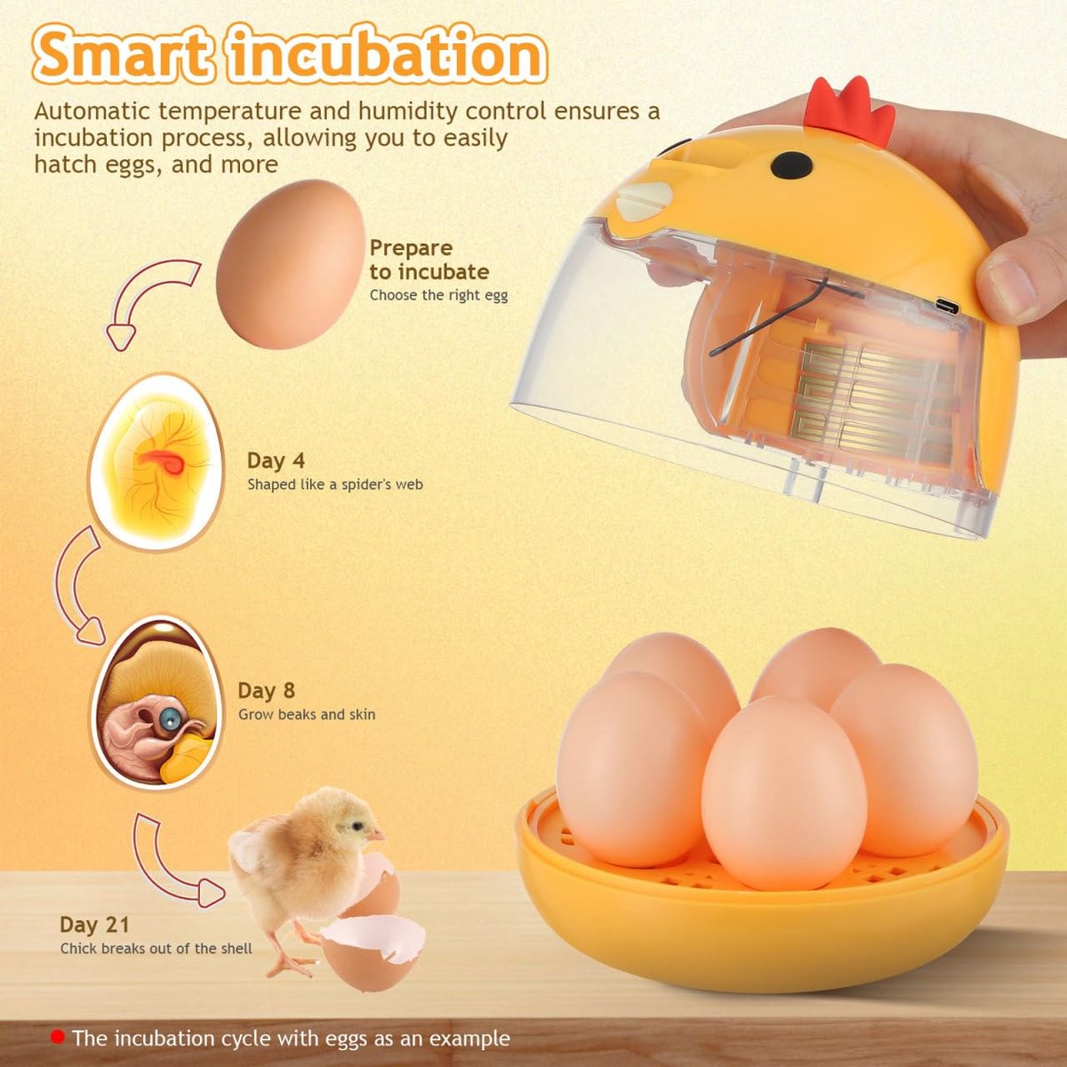 4 Egg Mini Incubator – Automatic Temperature and Humidity Control