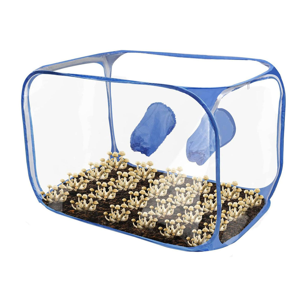 Portable Foldable Mushroom Still Air Box with 2 Arm Ports