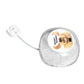 12 Egg Automatic Incubator with Egg Turner – 360 Degree View