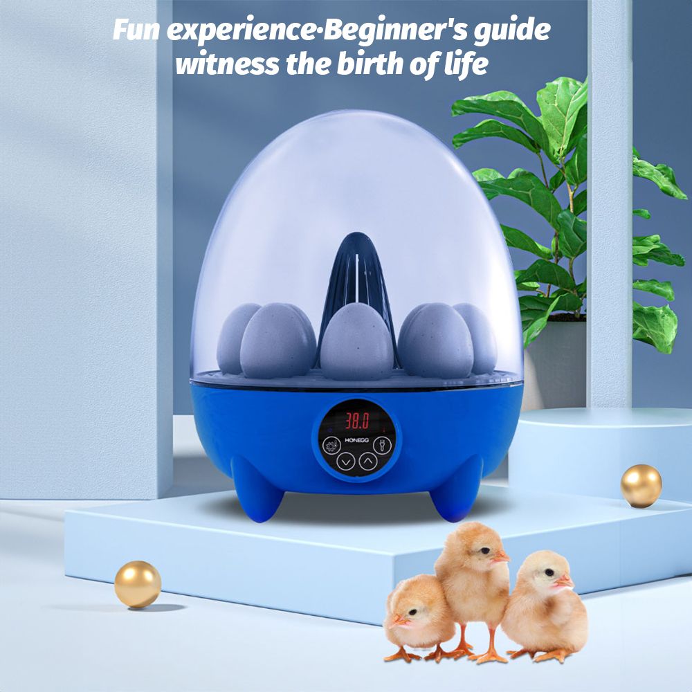 8 Egg Incubator with LED Light – Temperature Control, 360° View