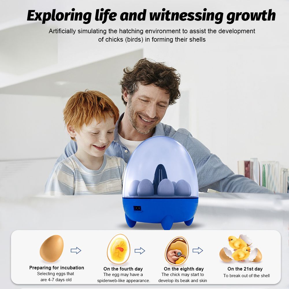 8 Egg Incubator with LED Light – Temperature Control, 360° View