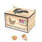 9 Egg Wooden Incubator with Temperature Control