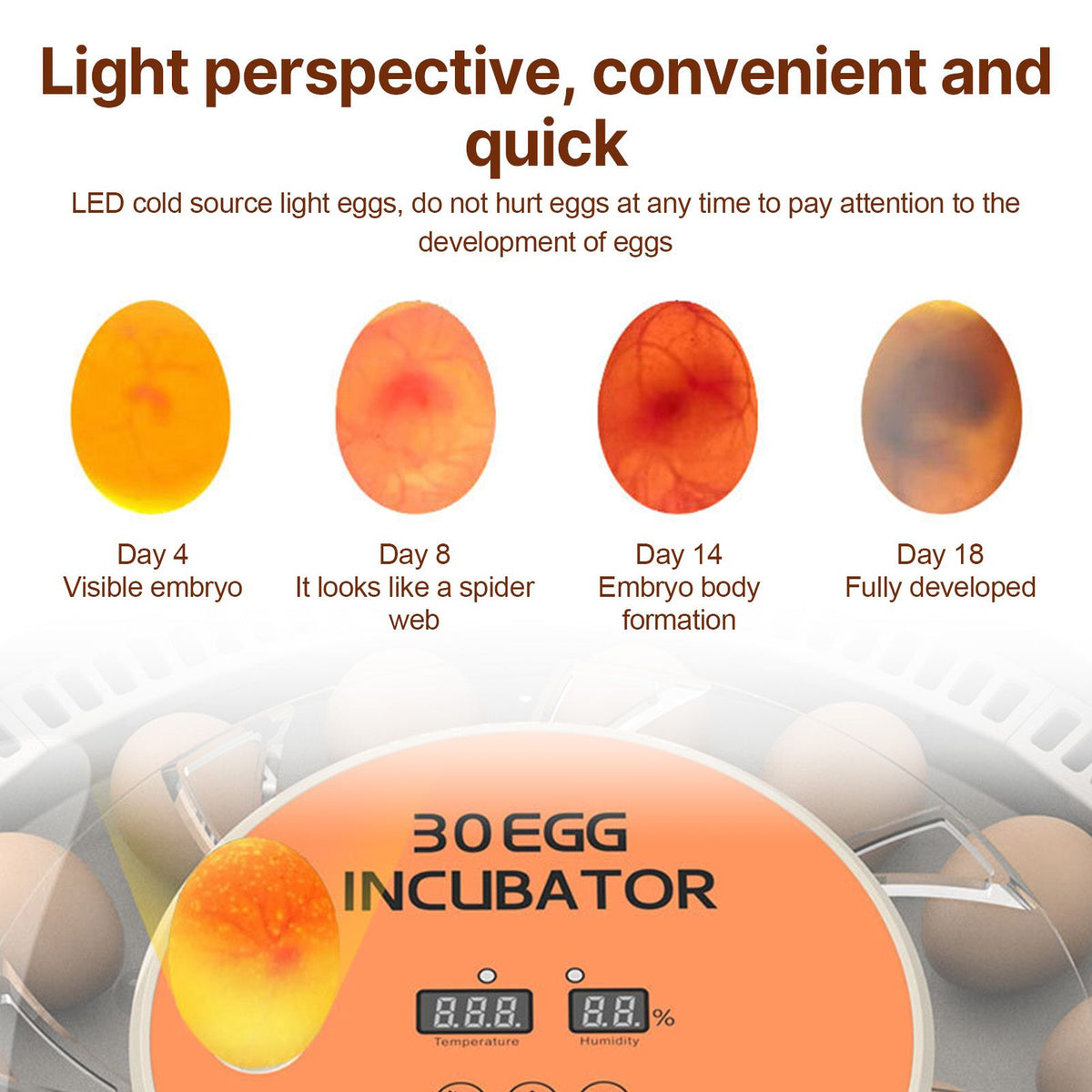 30 Egg Automatic Turning Incubator with Humidity Control and Egg Candler