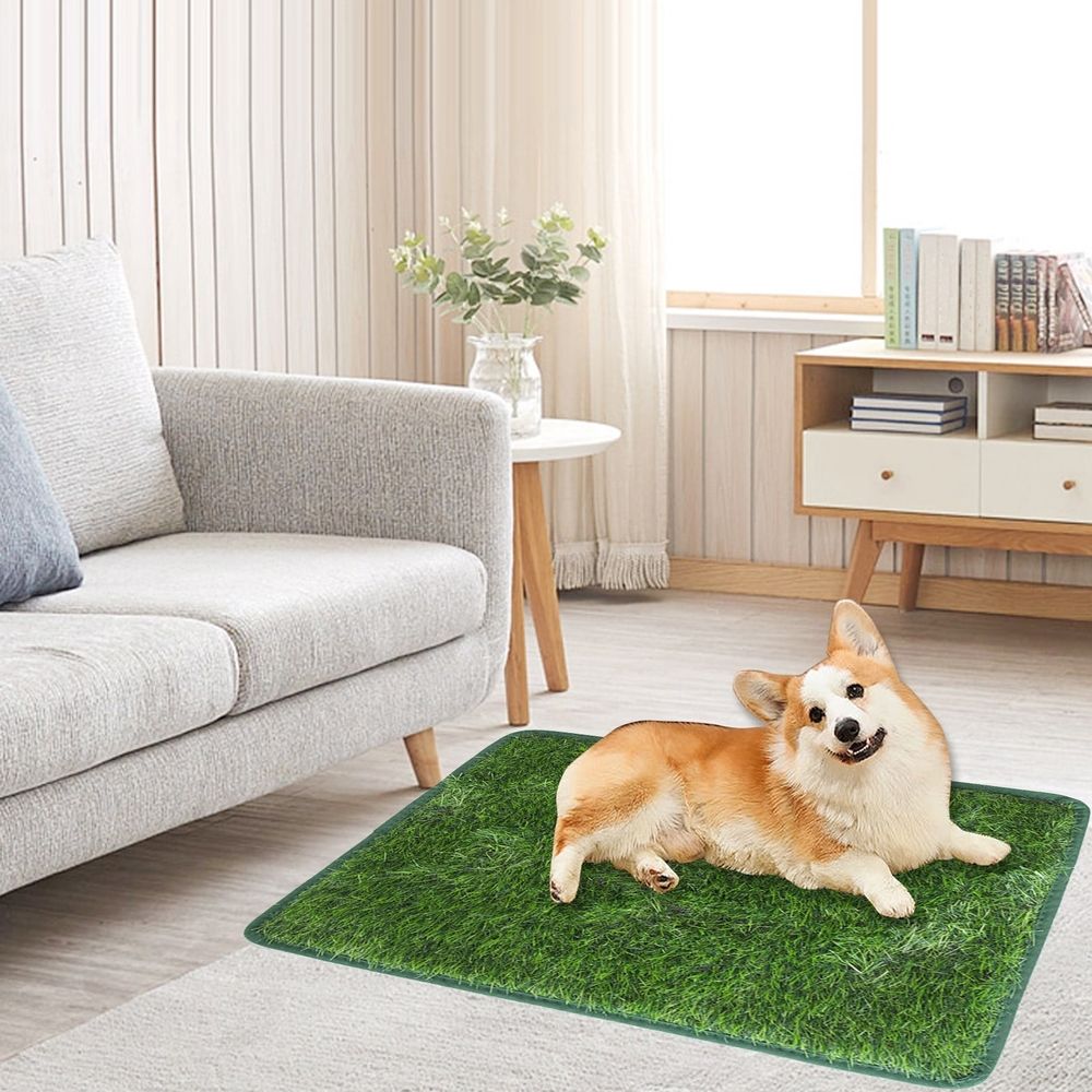 Artificial Grass Dog Potty Mat – Indoor and Outdoor