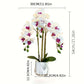 Artificial Phalaenopsis Orchid Plant – Touch Sensitive, Purple 50cm