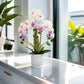 Artificial Phalaenopsis Orchid Plant – Touch Sensitive, Purple 50cm
