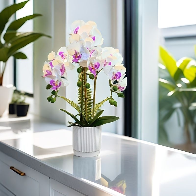 Artificial Phalaenopsis Orchid Plant – Touch Sensitive, Purple 50cm