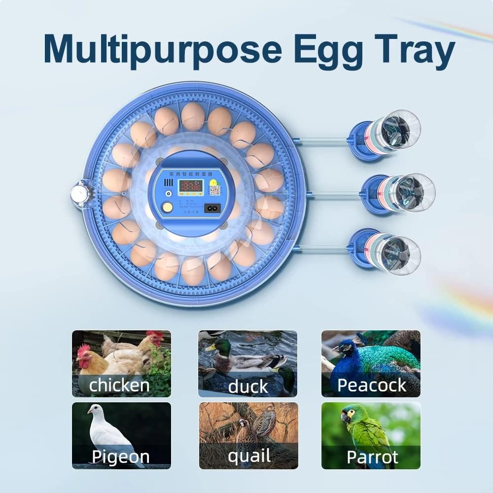 Multipurpose egg tray with various bird species images below on a light blue background