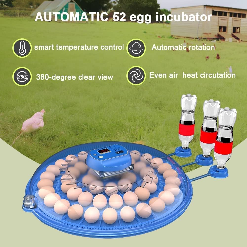 Automatic 52 egg incubator with chicken in the background