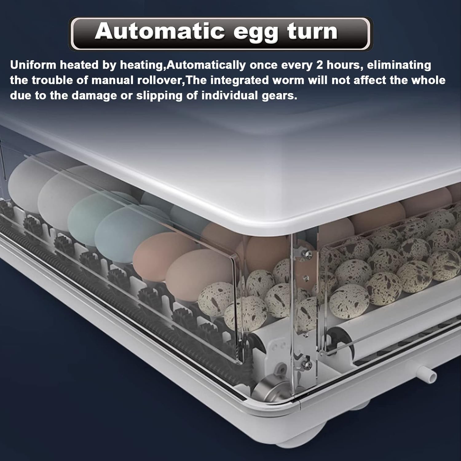 Automatic egg turner with eggs inside, showing text about its features.