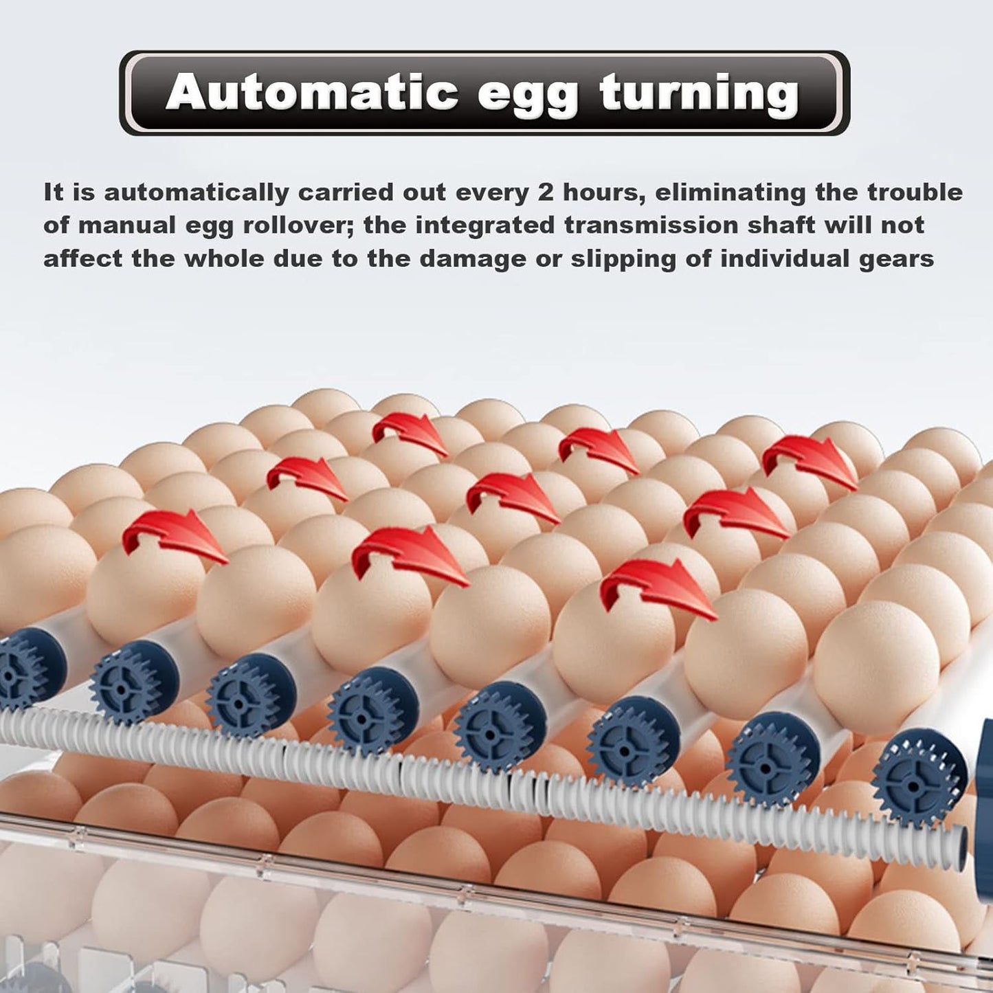 Egg turning machine with eggs and mechanical components on a white background