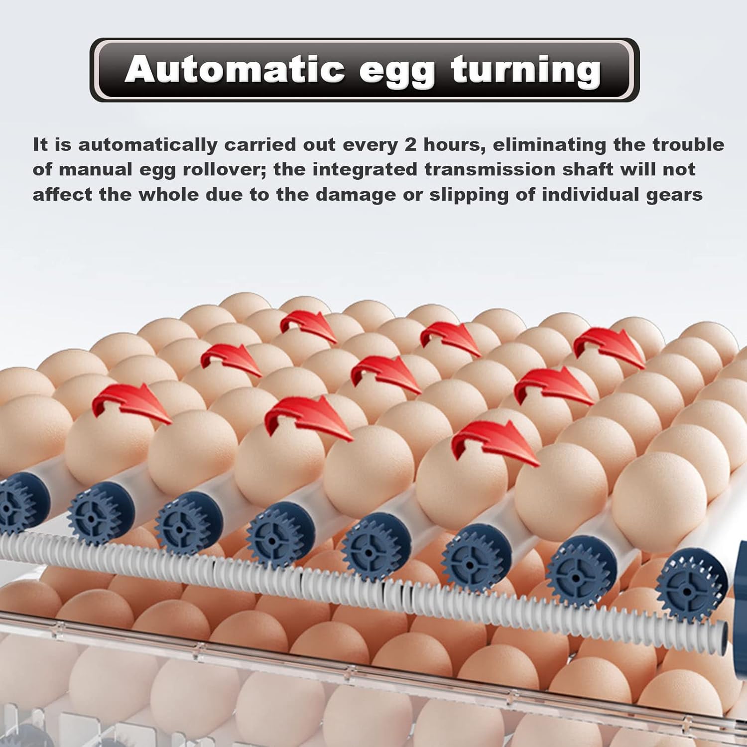 Egg turning machine with eggs and mechanical components on a white background