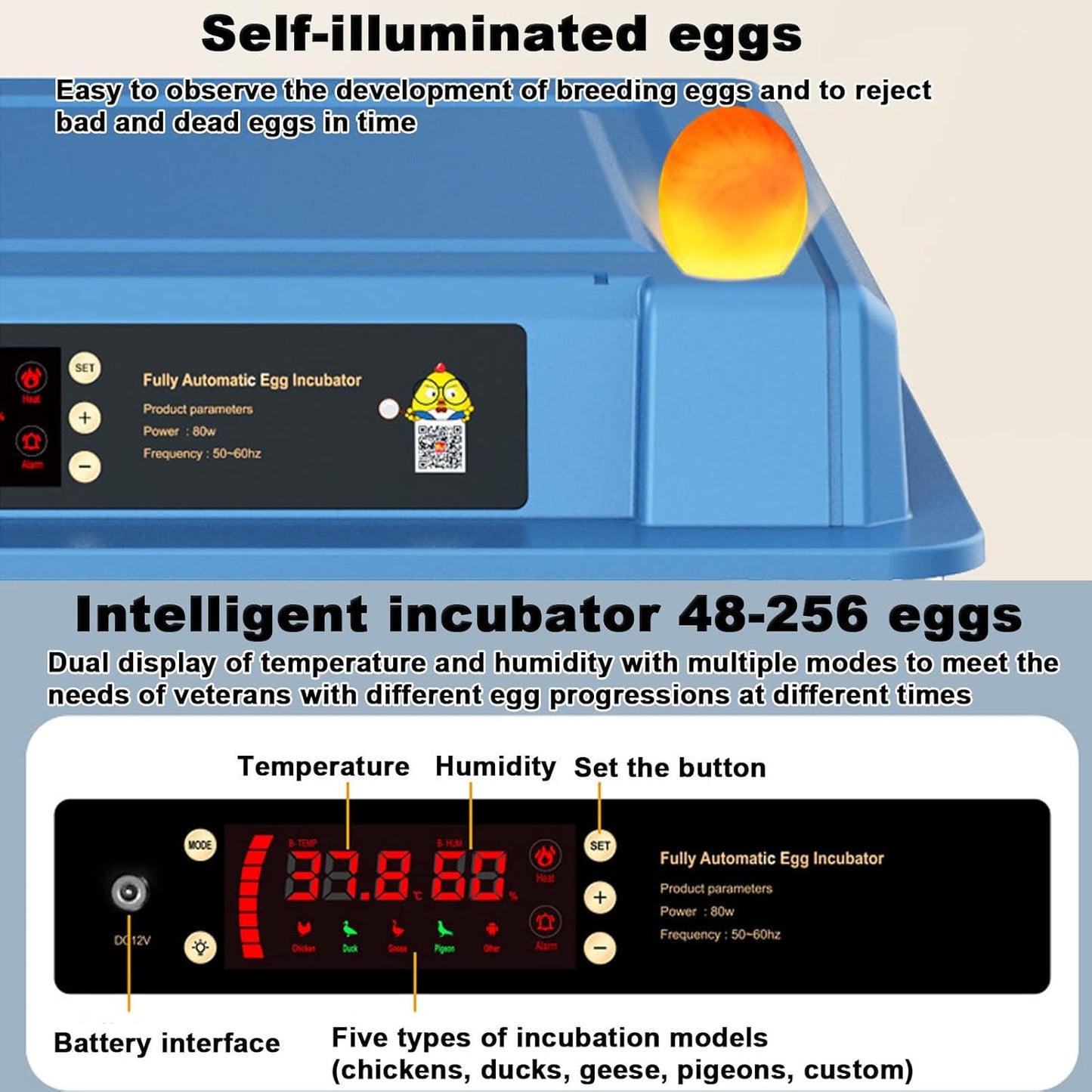 Egg incubator with digital display and text describing features