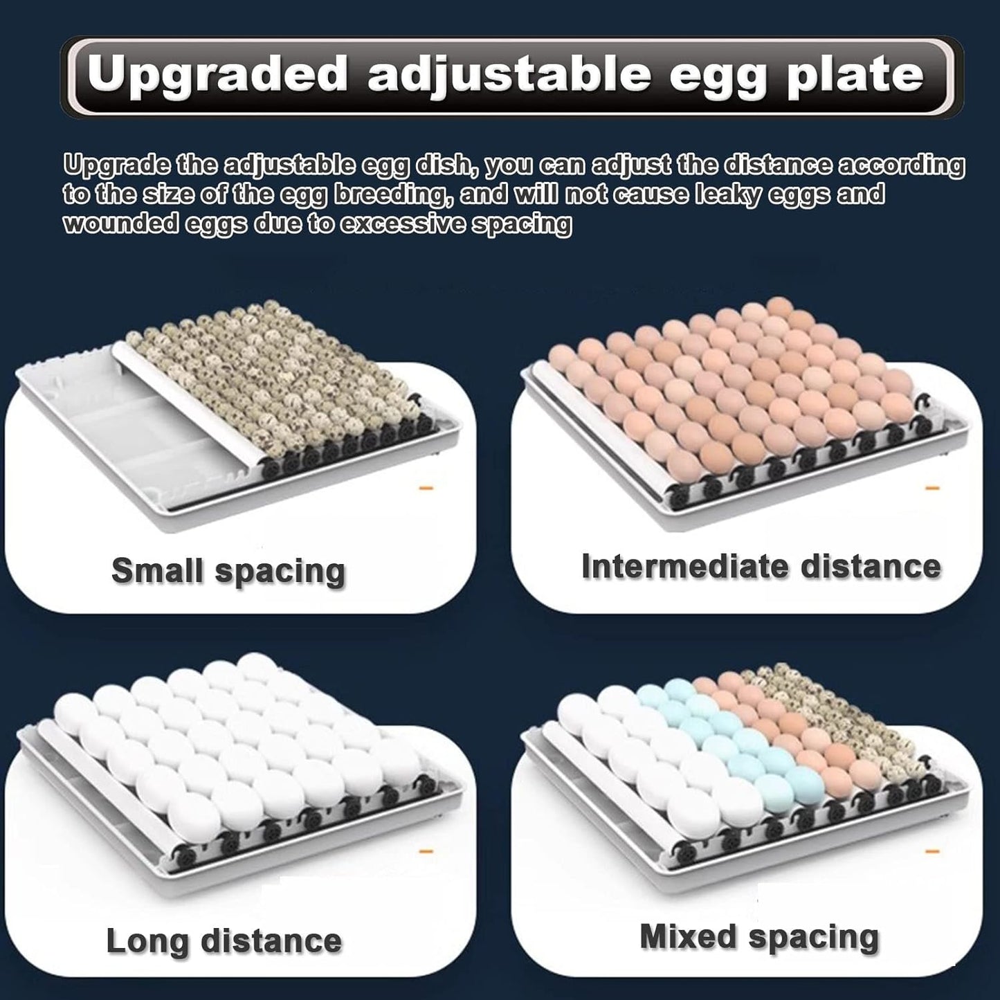 Upgraded adjustable egg plate with different spacing options on a dark background