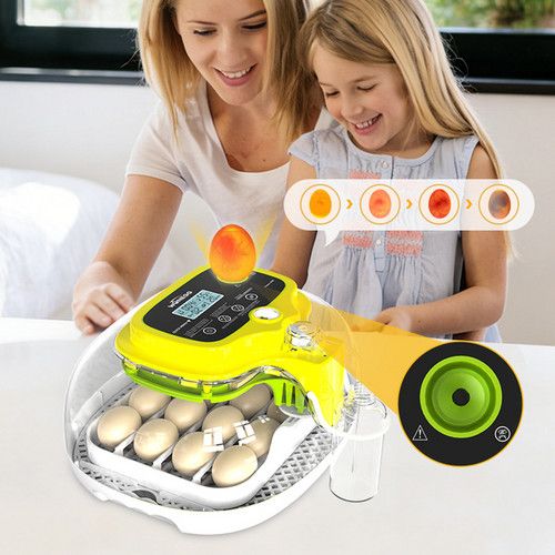 16–30 Egg Automatic Incubator with Egg Candler – Chicken and Duck