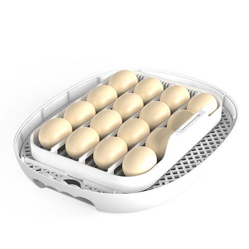 16–30 Egg Automatic Incubator with Egg Candler – Chicken and Duck