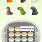 16–30 Egg Automatic Incubator with Egg Candler – Chicken and Duck