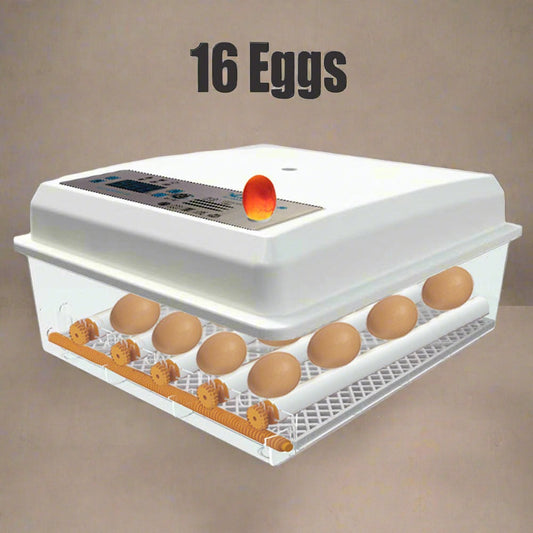 Egg Incubator