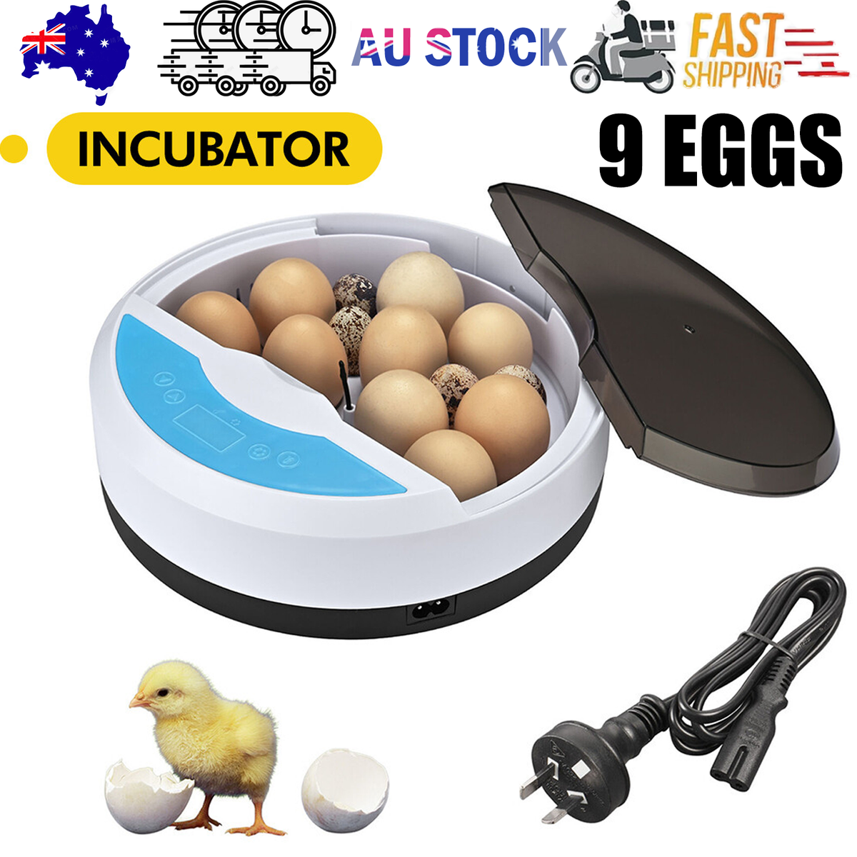 9 Egg Semi-Automatic Incubator – Digital Temperature Control