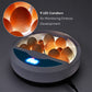 9 Egg Semi-Automatic Incubator – Digital Temperature Control