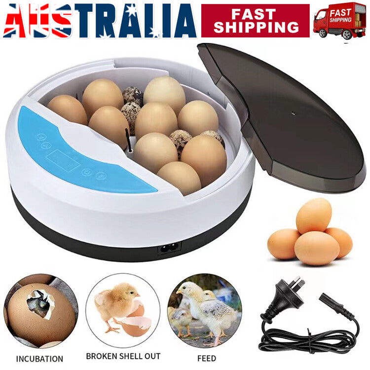 9 Egg Semi-Automatic Incubator – Digital Temperature Control