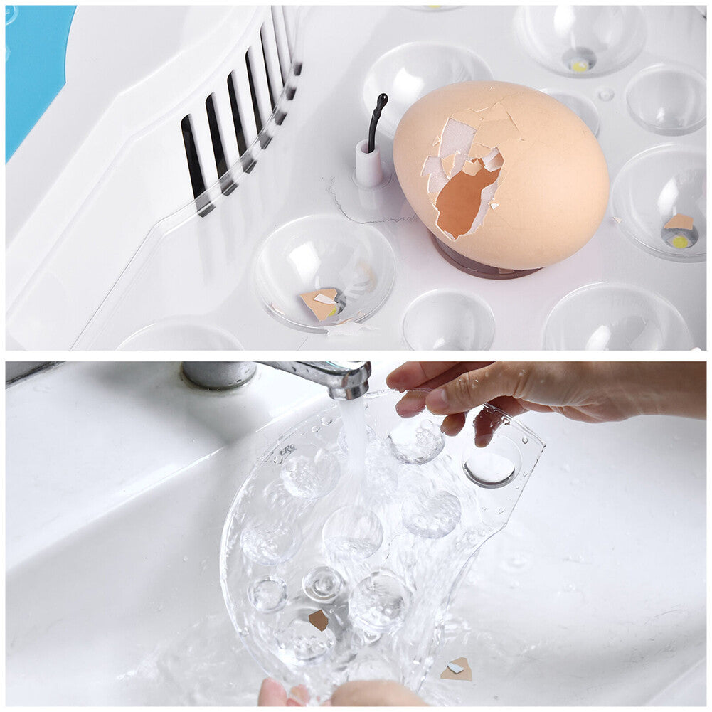 9 Egg Semi-Automatic Incubator – Digital Temperature Control