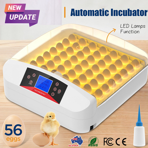 56 Egg Automatic Incubator – LED Digital Display, Chicken and Duck