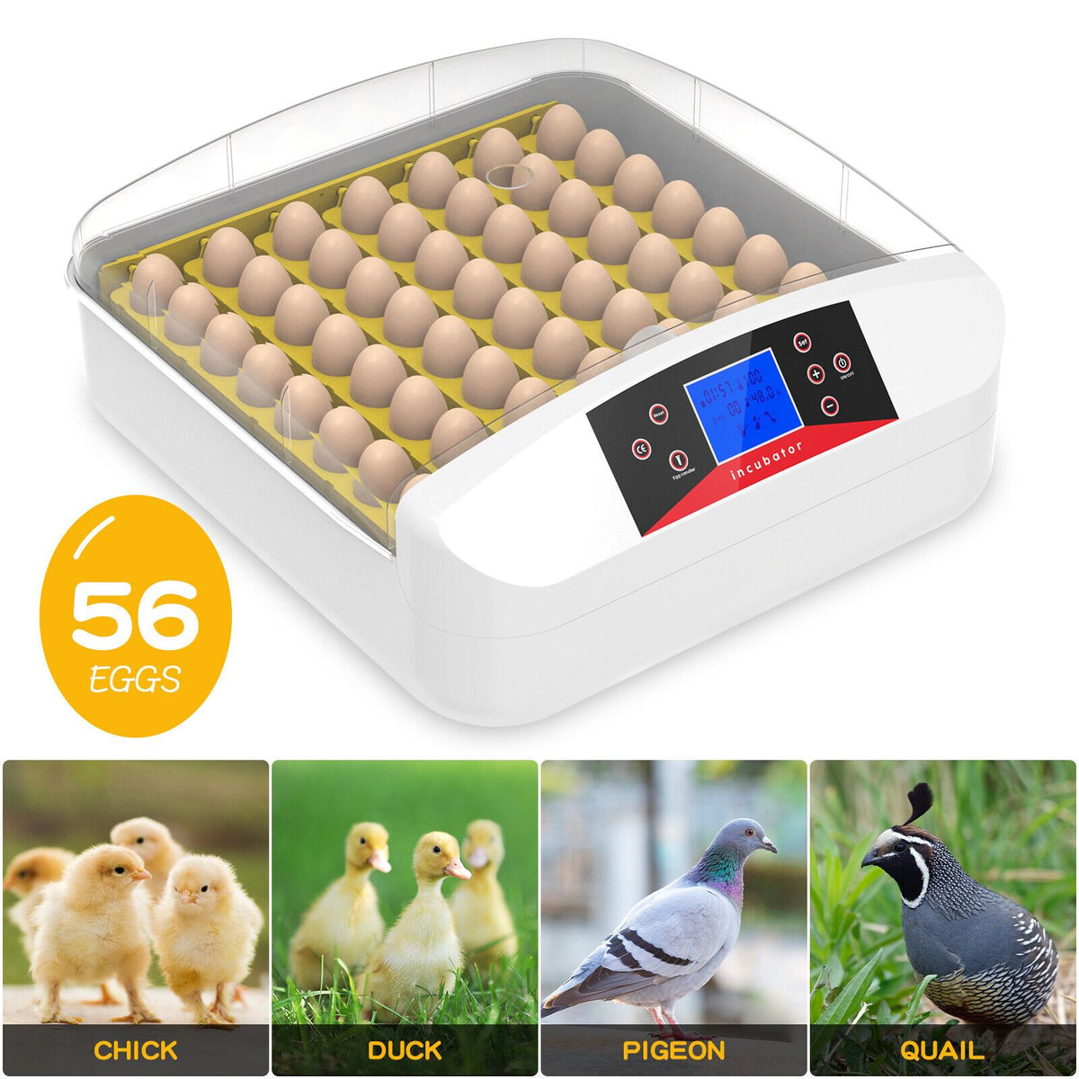 56 Egg Automatic Incubator – LED Digital Display, Chicken and Duck